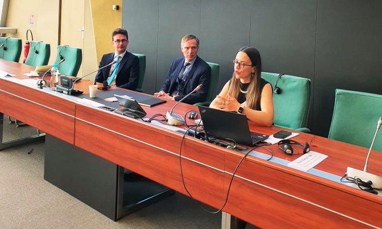 ABTTF, Strazburg’da Batı Trakya Türklerinin sorunları gündeme getirdi