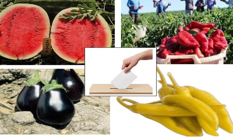 Trakya Tarım Kooperatifi’nin Genel Kurul’u 16 Kasım’da…