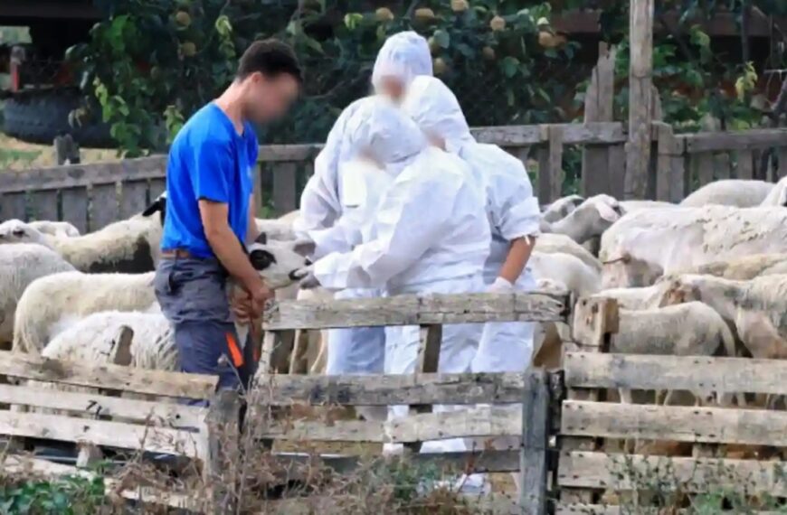 DMT Eyaleti Veterinerlik Müdürlüğü’nden Çiftçilere Uyarı: Yıllık Hayvan Sayımı Başladı!