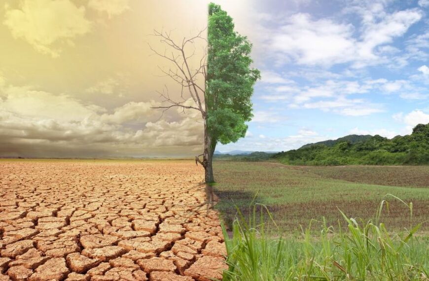 Trakya da kuruyor: 2025 En Sıcak Yıllardan Biri Oldu…