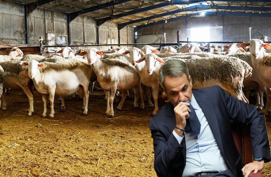Ülkede, hayvancılık alarm veriyor… Başbakan yarın “ulusal plan” açıklıyor, üretici tedirgin!