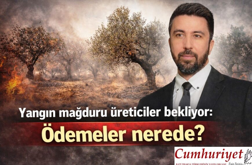 Yangın mağduru üreticiler bekliyor: Ödemeler nerede?
