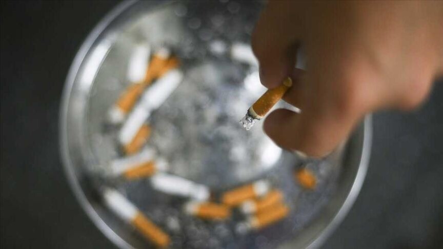 DSÖ’den Uyarı: Tütün Her Yıl 7 Milyondan Fazla Can Alıyor
