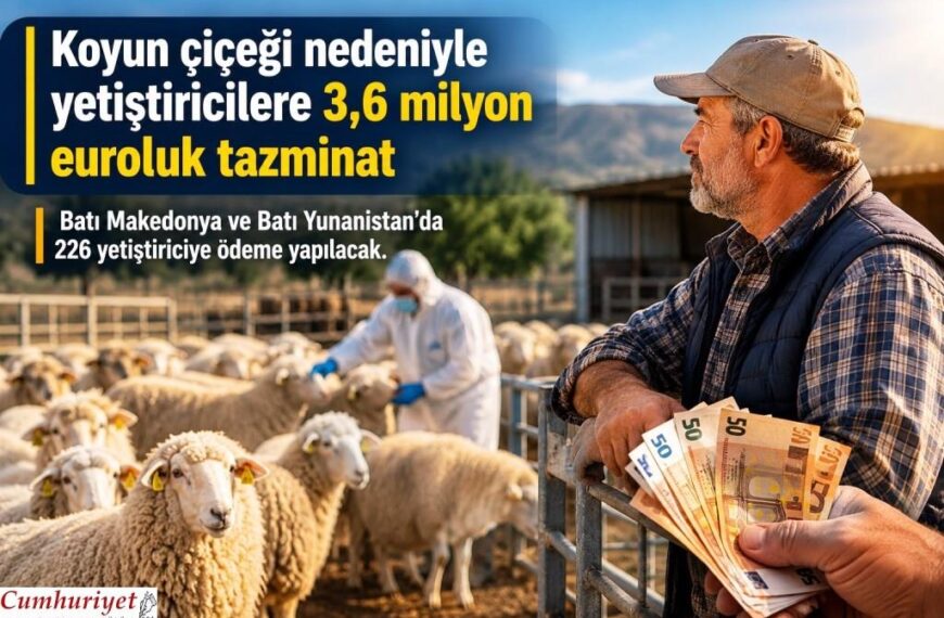 “Koyun Çiçeği” nedeniyle yetiştiricilere 3,6 milyon euroluk tazminat!