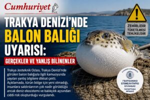 Trakya Denizi’nde balon balığı uyarısı: Gerçekler ve yanlış&hellip;