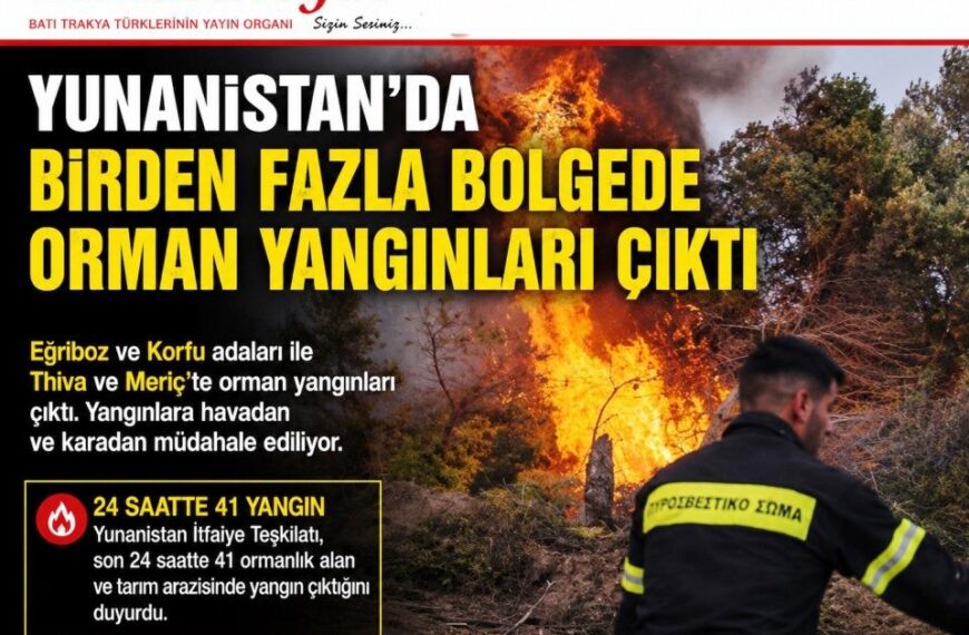 Ülkenin birçok bölgesinde orman yangını çıktı!
