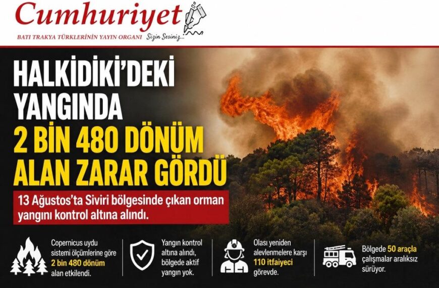 Halkidiki’de yangın 2 bin 480 dönümü küle çevirdi