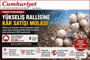 Pamukta yükseliş rallisine kâr satışı molası!
