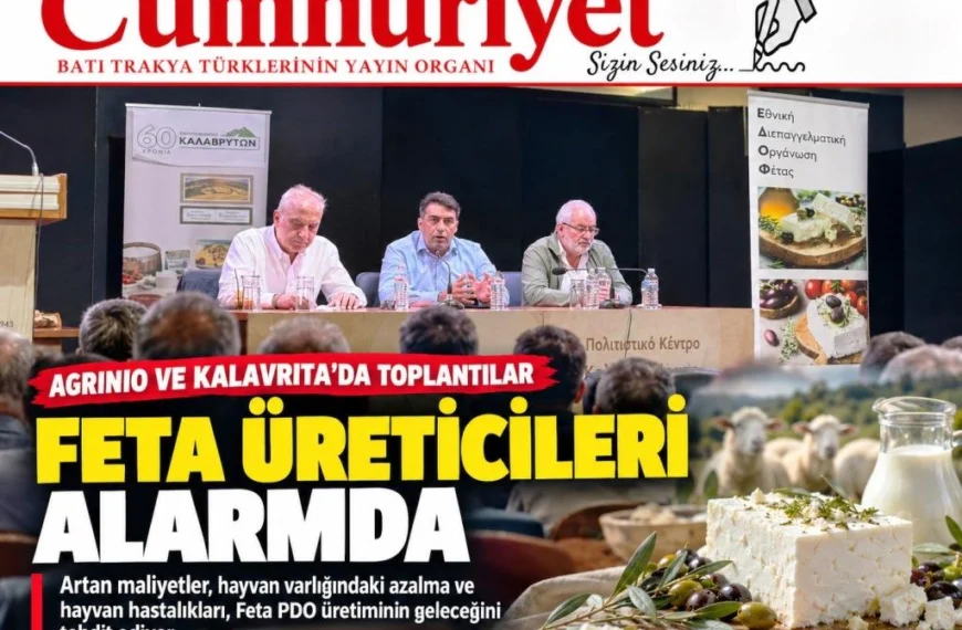 Feta üreticileri alarmda: Maliyet, hayvan kaybı ve hastalık baskısı