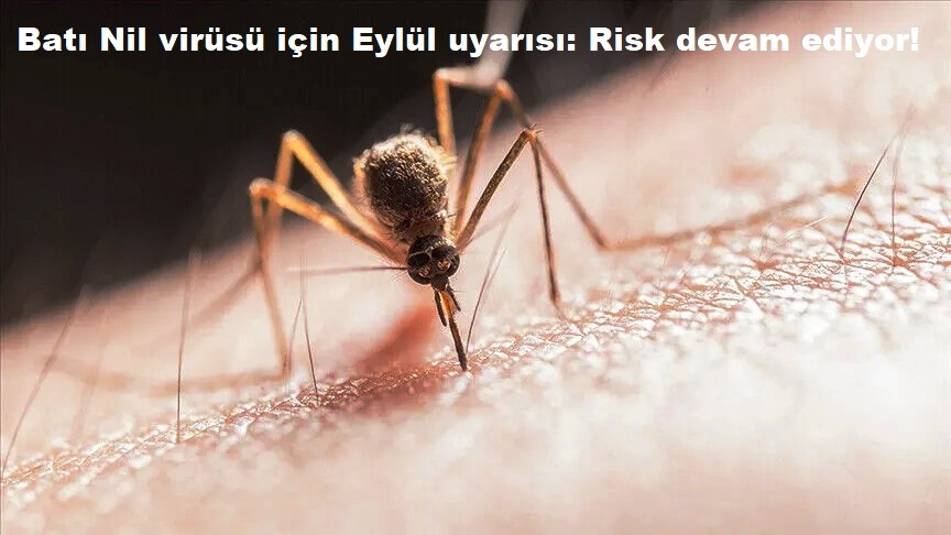 Batı Nil virüsü için Eylül&hellip;
