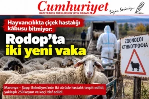 Hayvancılıkta çiçek hastalığı kâbusu bitmiyor: Rodop’ta iki yeni&hellip;