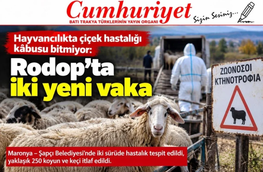 Hayvancılıkta çiçek hastalığı kâbusu bitmiyor: Rodop’ta iki yeni vaka!
