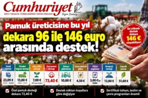 Pamuk üreticisine dekara 96 ile 146 euro arasında&hellip;