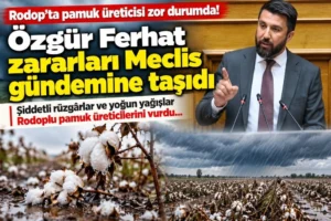 Rodop’ta pamuk üreticisi zor durumda! Özgür Ferhat zararların&hellip;