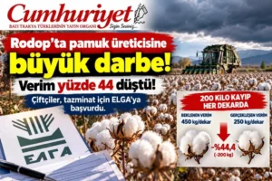 Rodop’ta pamuk üreticisine büyük darbe: Verim % 44&hellip;