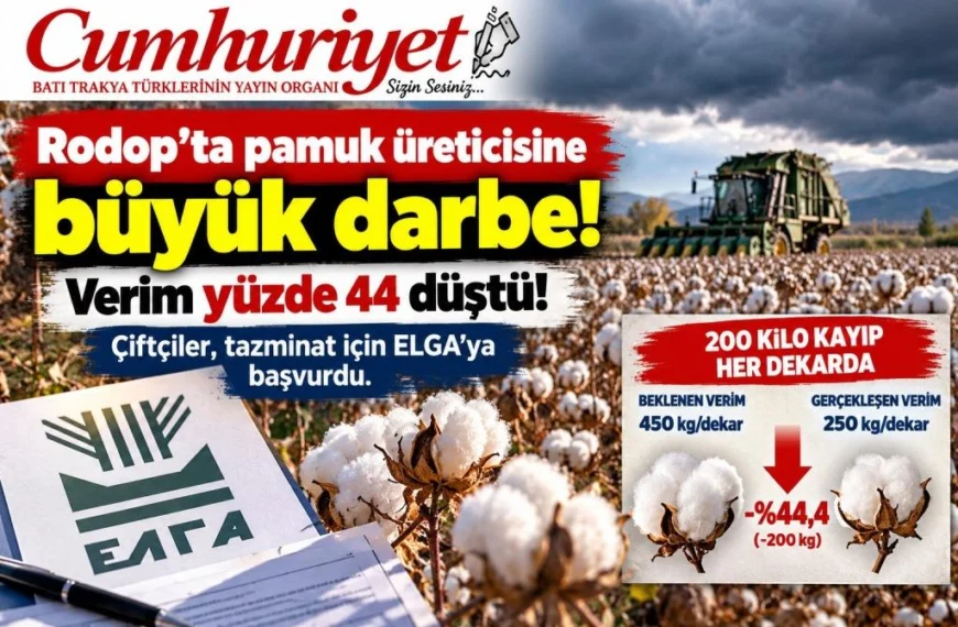 Rodop’ta pamuk üreticisine büyük darbe:&hellip;