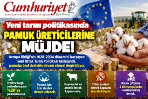 Yeni tarım politikasında pamuk üreticilerine müjde: Özel destek&hellip;